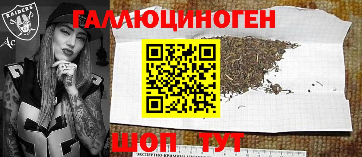 Тверь  Галлюциногенные грибы Psilocybine cubensis  Вход с VPN 