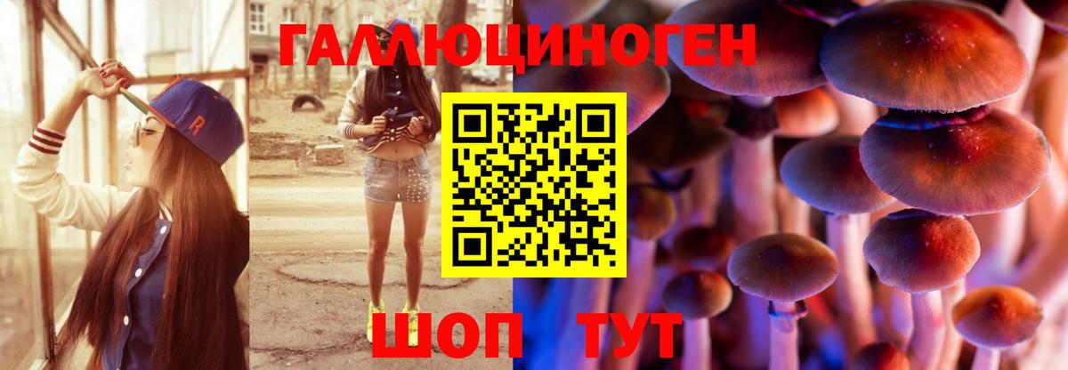 Псилоцибиновые грибы GOLDEN TEACHER Тверь